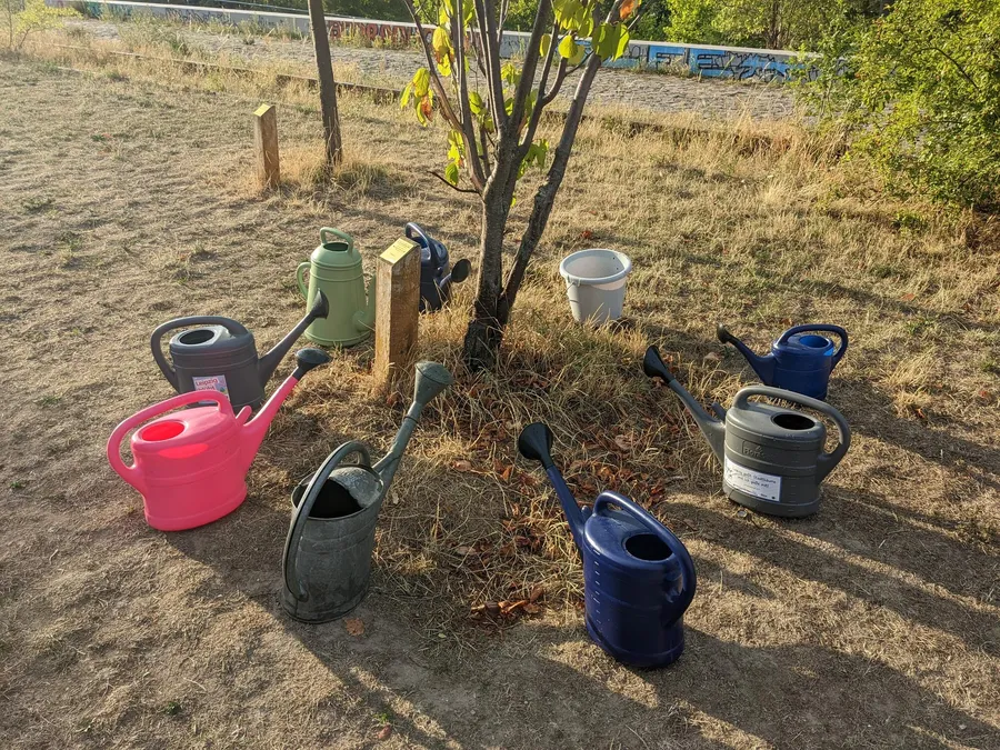 Acht Gießkannen und ein Baum