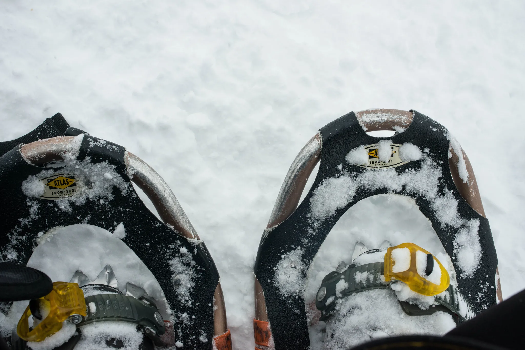 Schneeschuhe