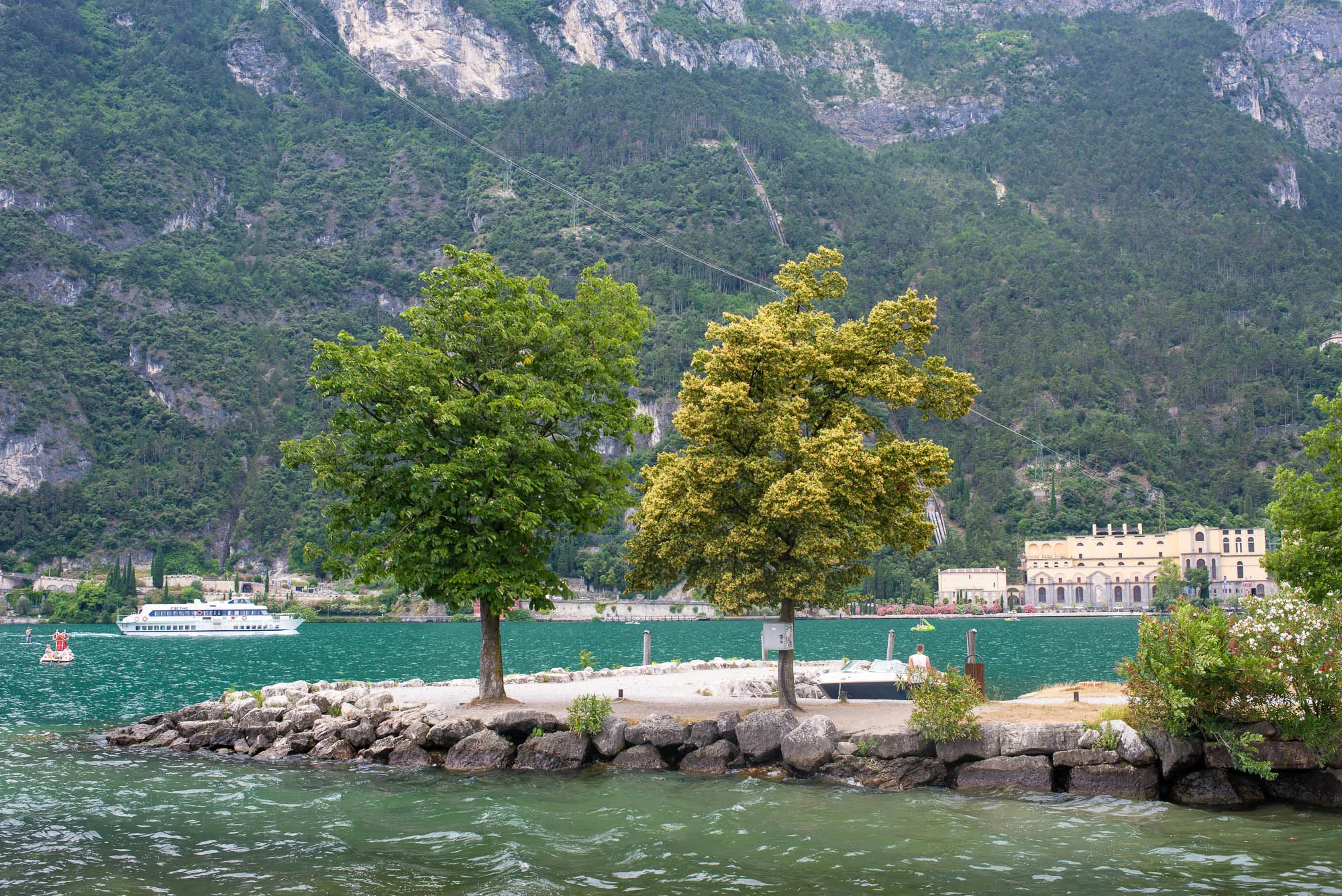 Zwei Bäume am Ufer
