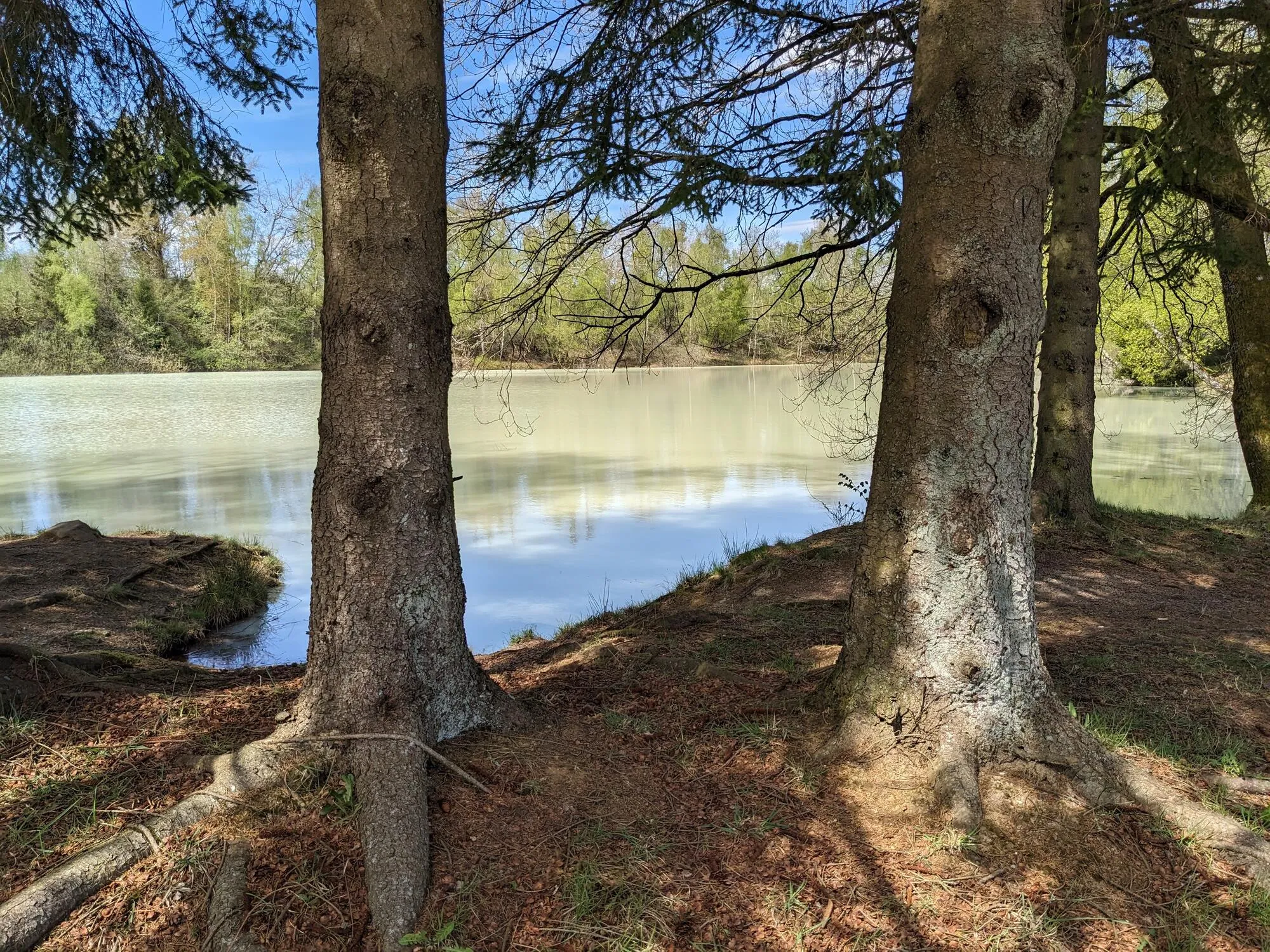 Tongrubenweiher